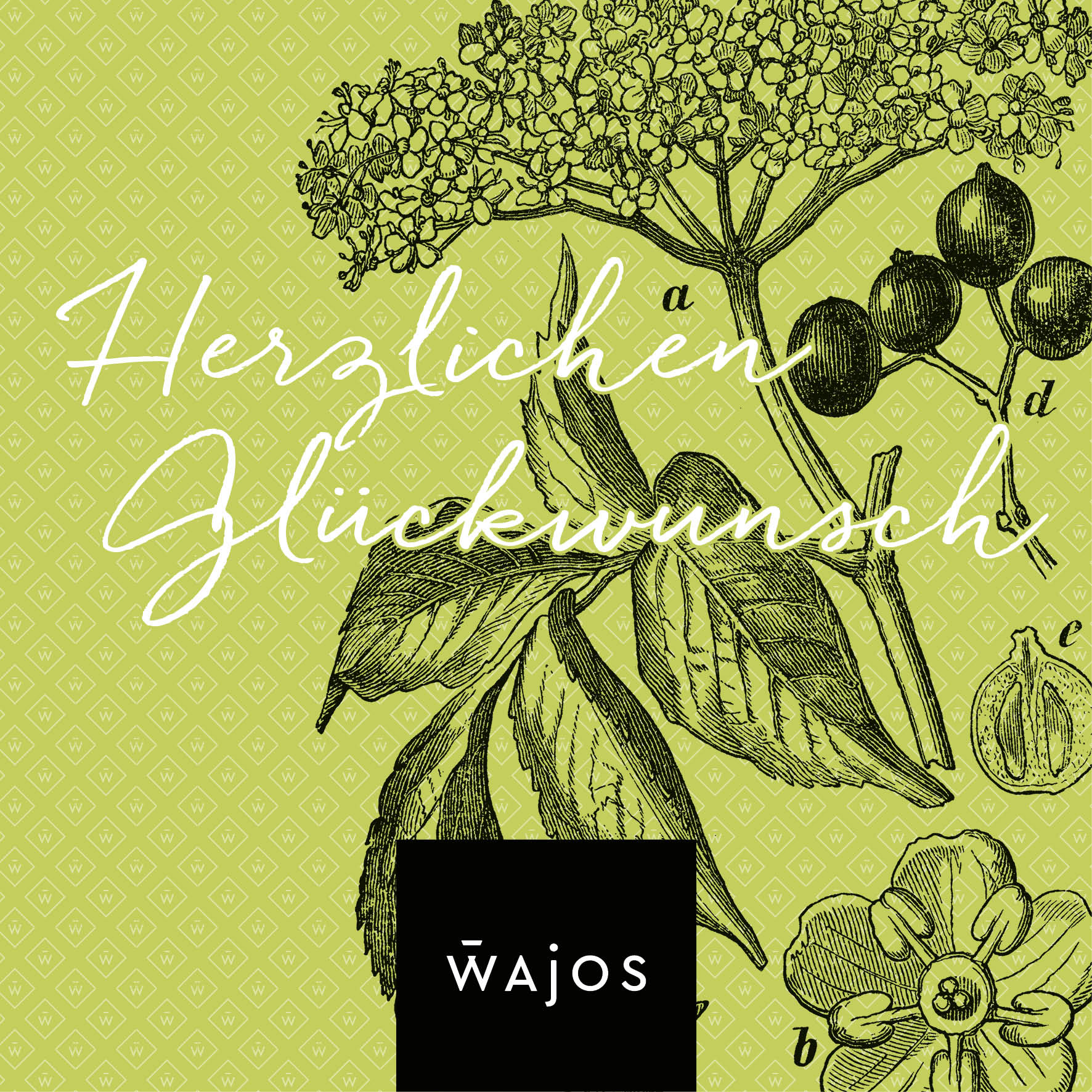 Vorschaubild 9